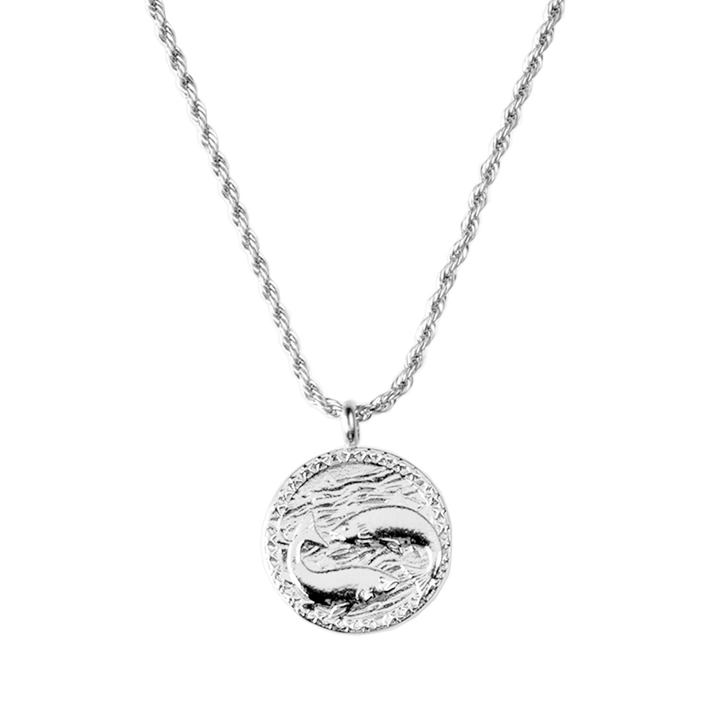 Zodiac Sign Collana Argento