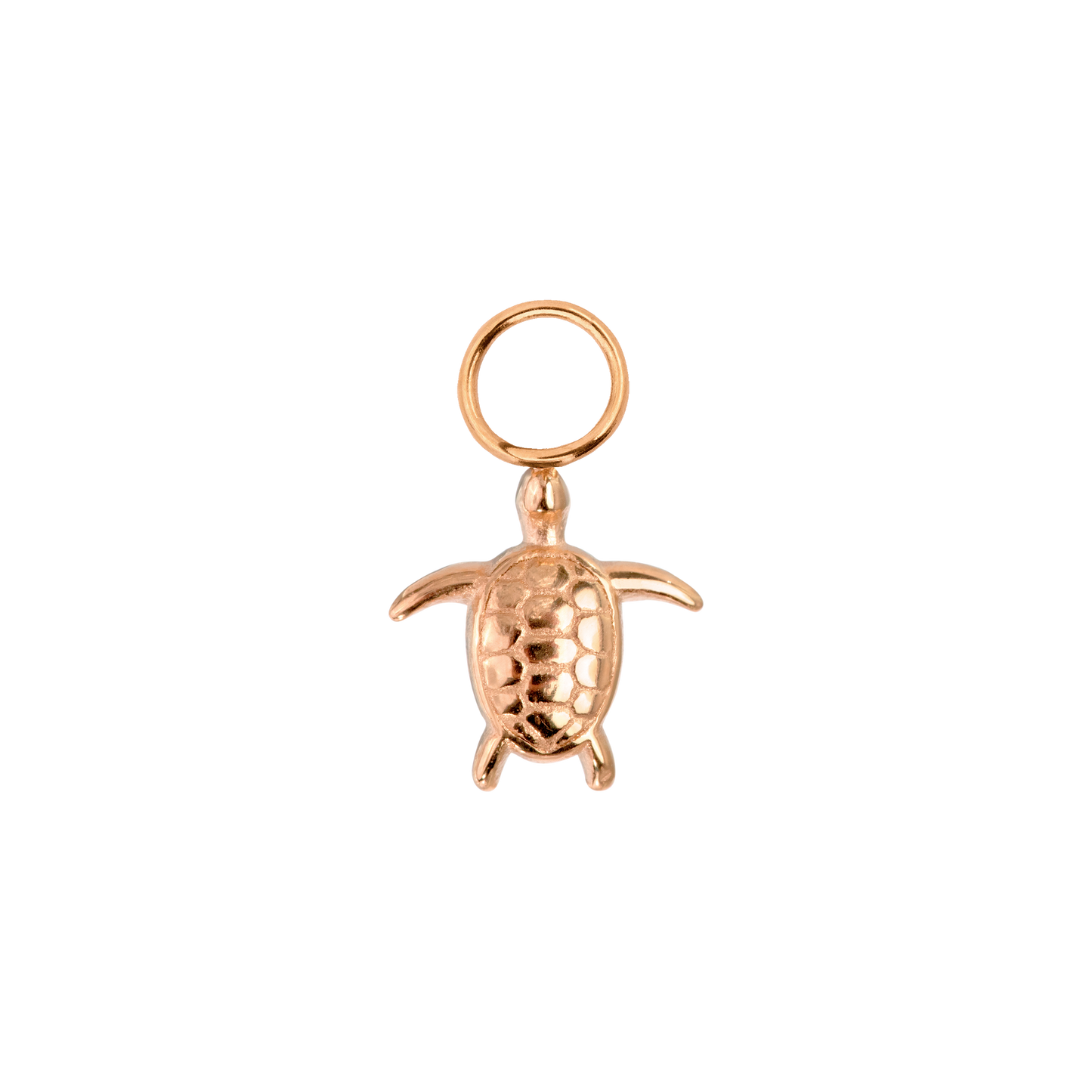 Sea Turtle Twisted Hoop Set Small Oro Rosa