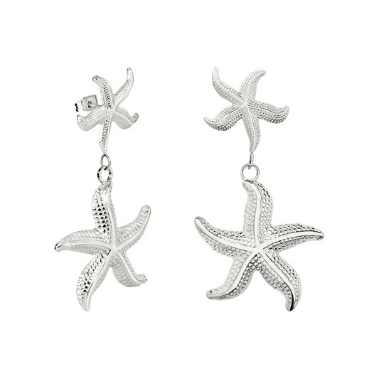 Starfish Orecchini Argento