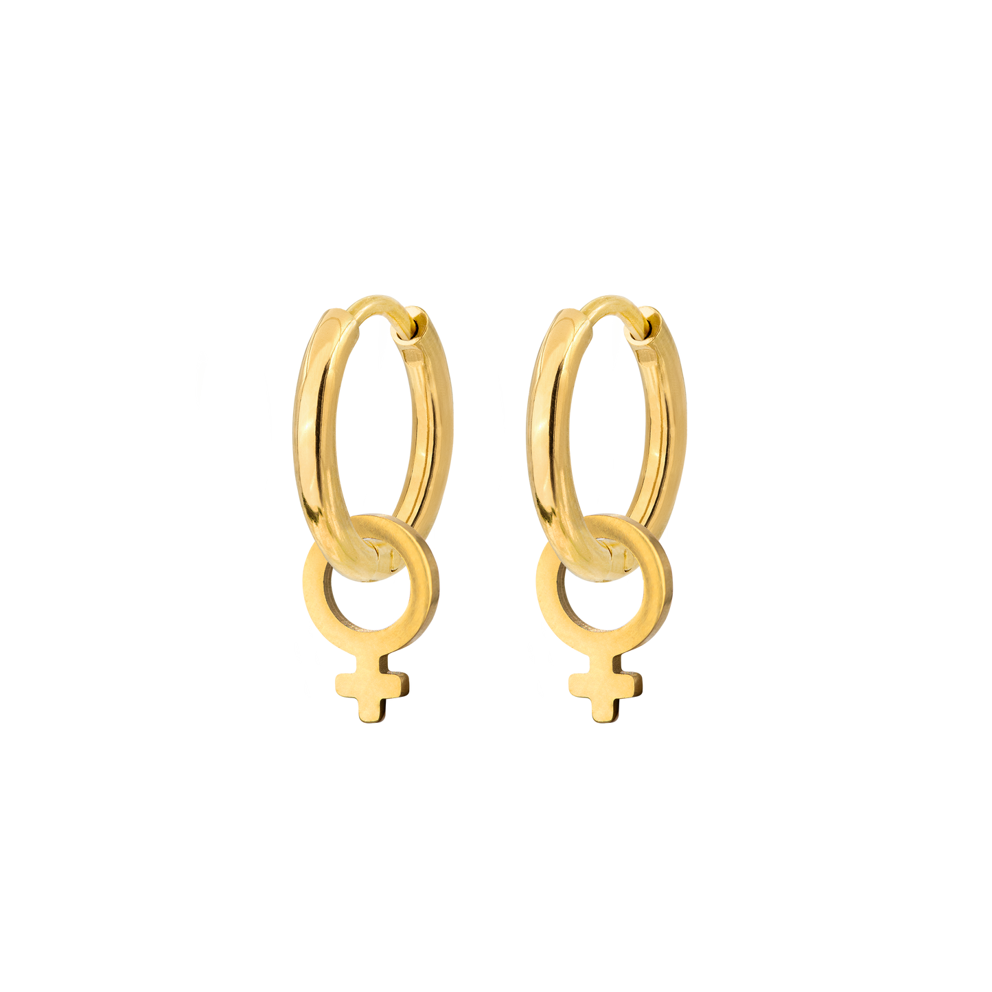 Female Icon Hoop Set Small Oro