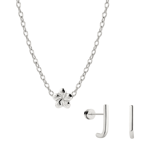 Floral Glow Bundle Argento