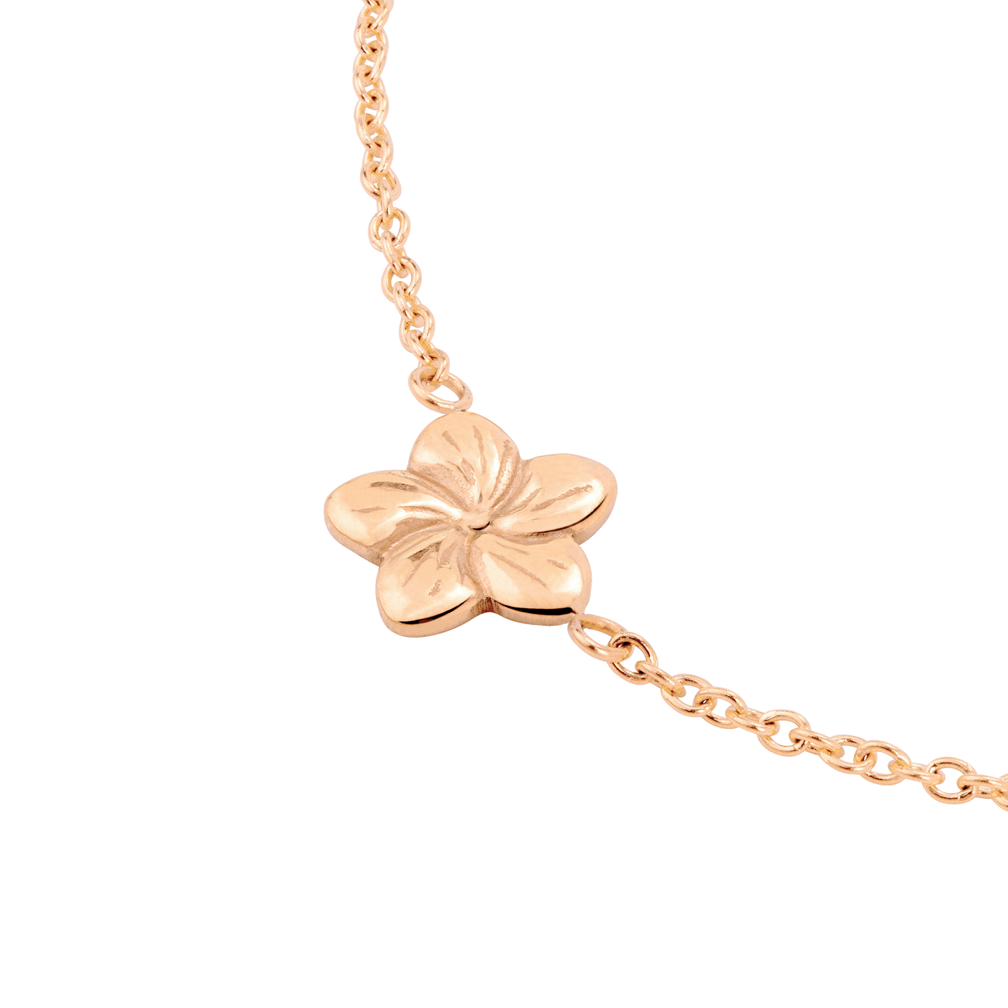 Floral Glow Choker Oro Rosa
