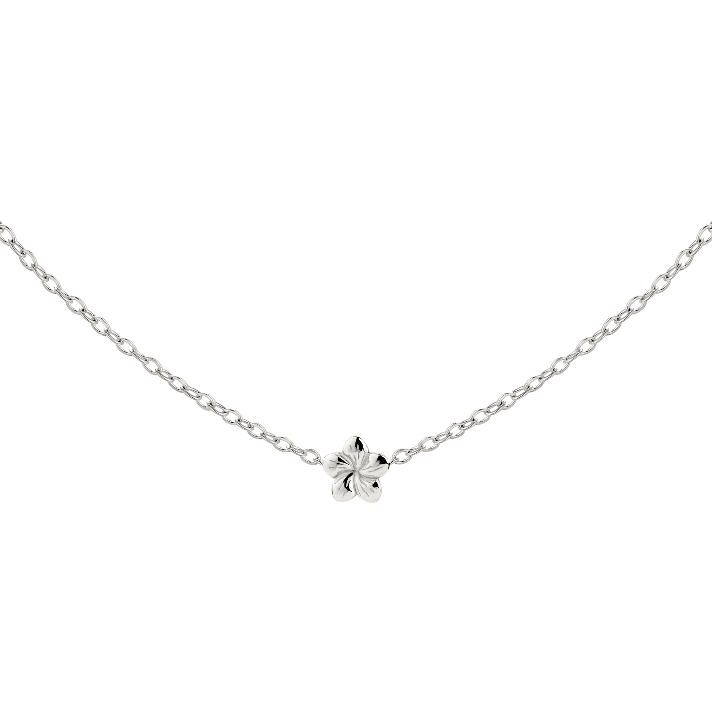 Floral Glow Choker Argento