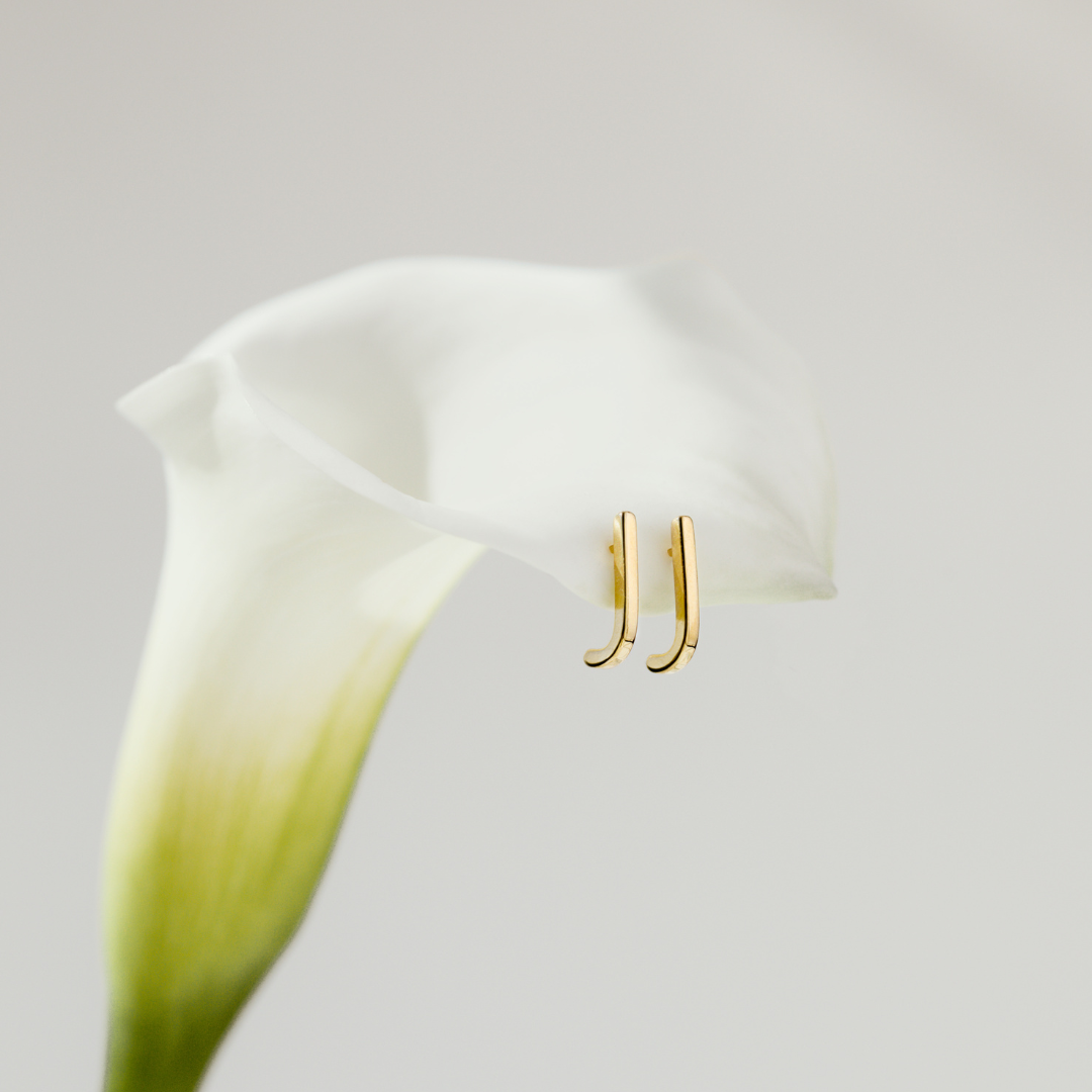 Clean Edge Orecchini Oro