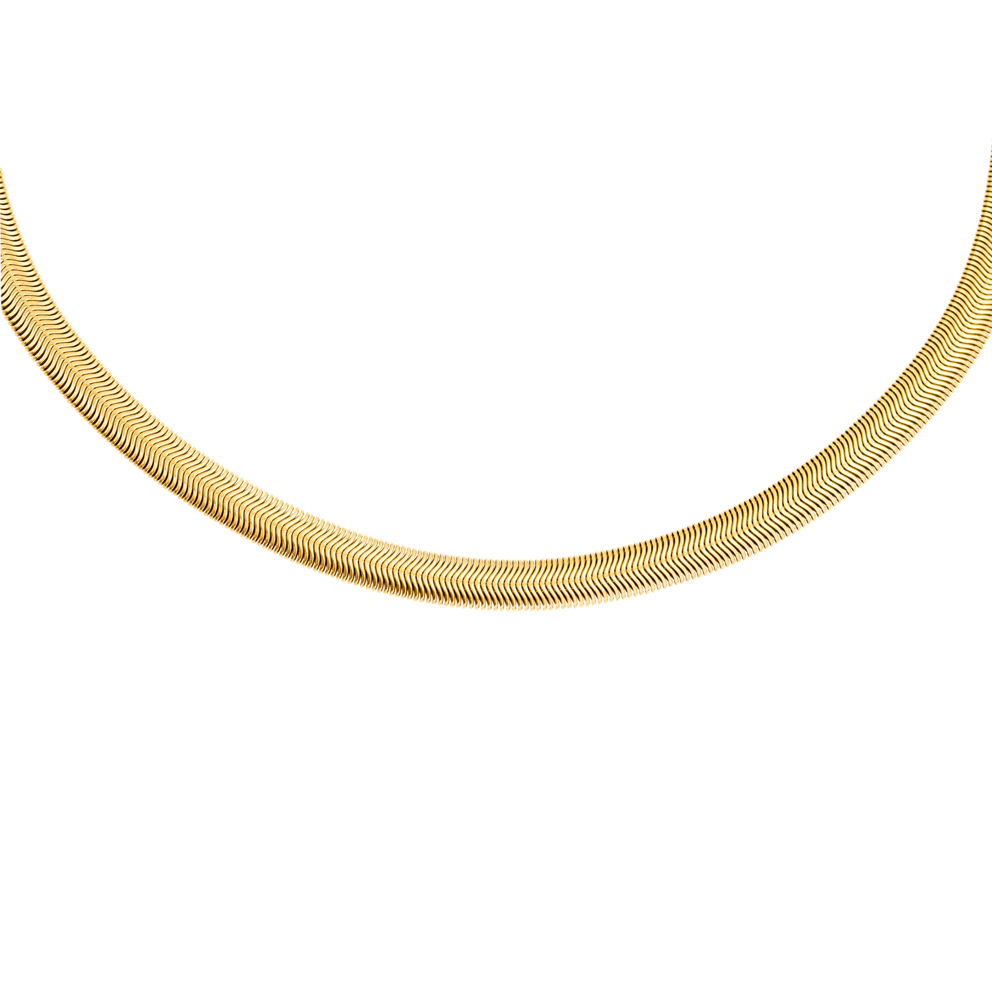 Flat Snake Chain Oro