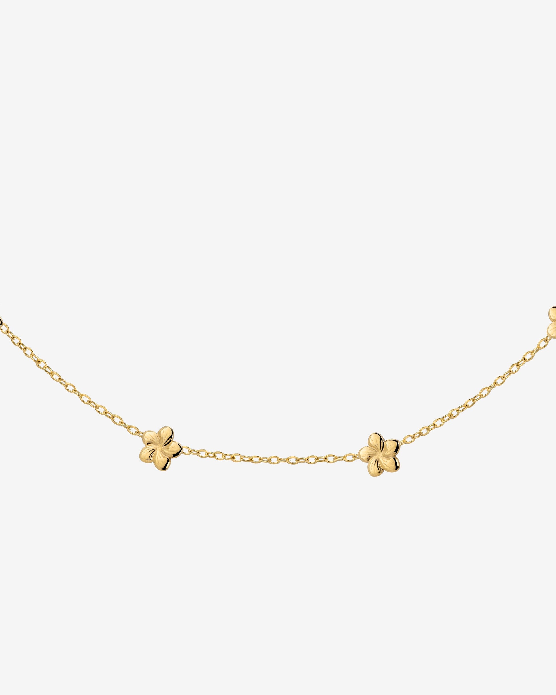 Meadow Choker Oro