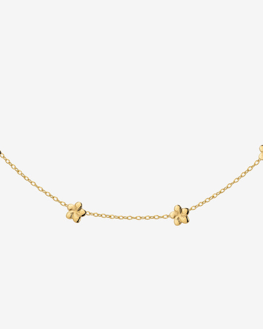 Meadow Choker Oro