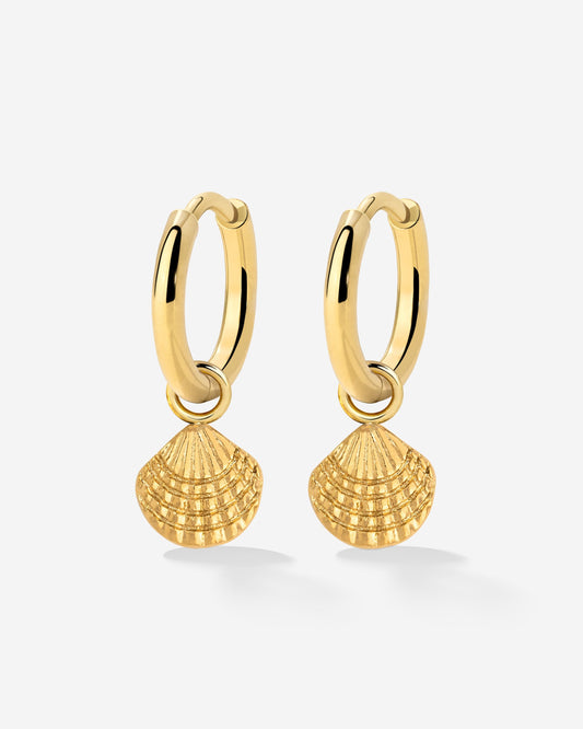 Cute Shell Hoop Set Oro