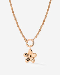 [[Colore:Oro Rosa]]