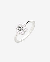 Daisy Anello Argento
