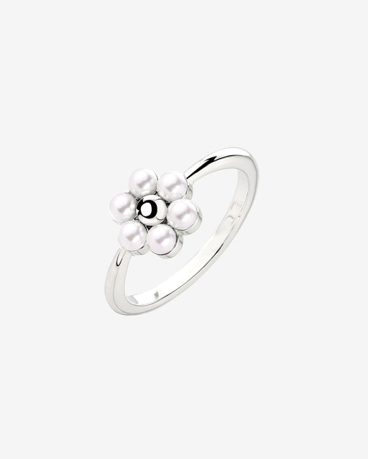 Daisy Anello Argento
