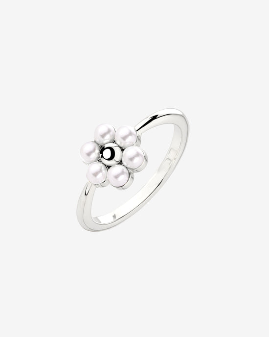 Daisy Anello Argento
