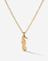 Seahorse Collana