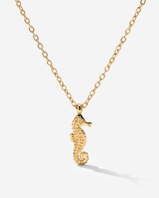 Seahorse Collana