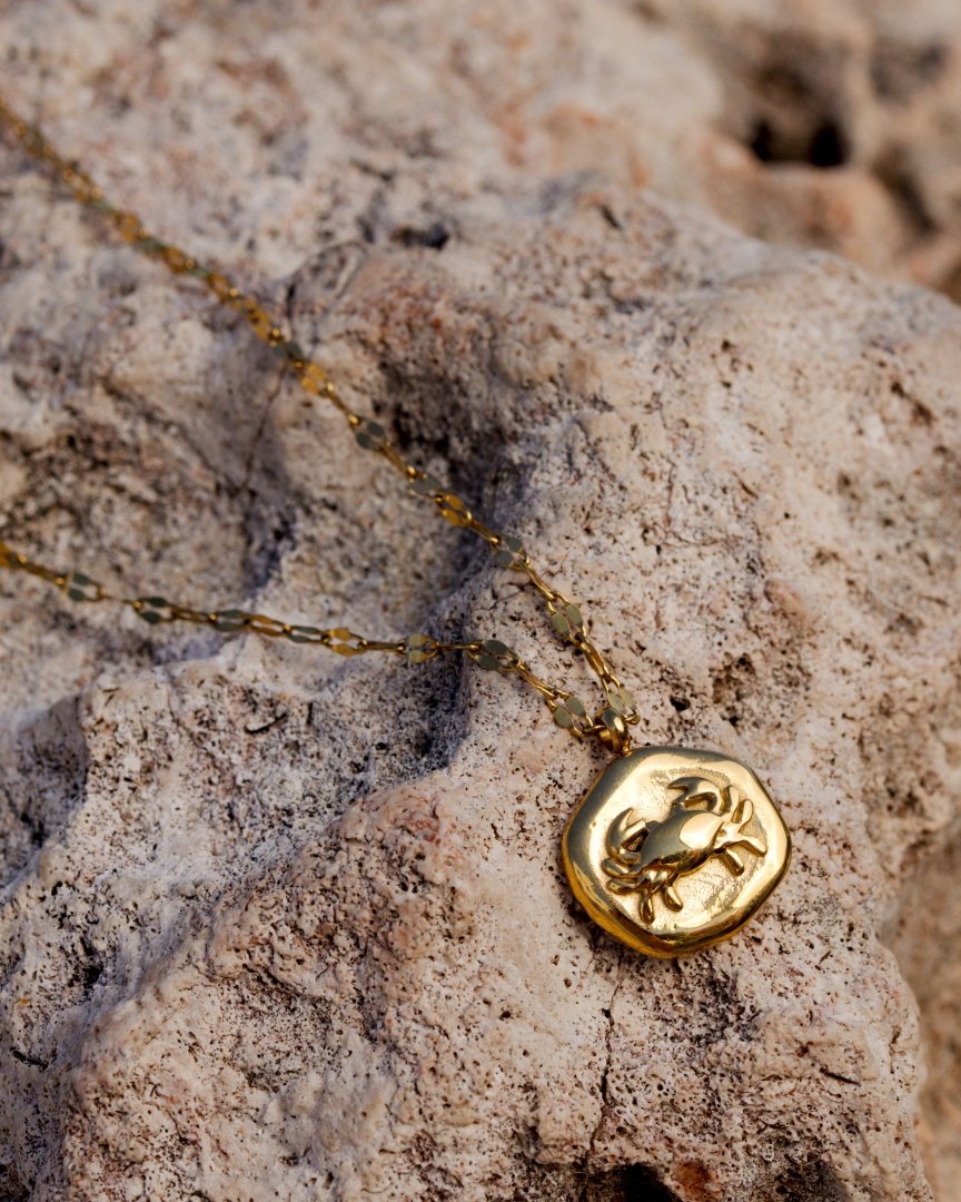 Crab Chaser Collana Argento