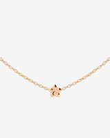 Floral Glow Choker Oro Rosa