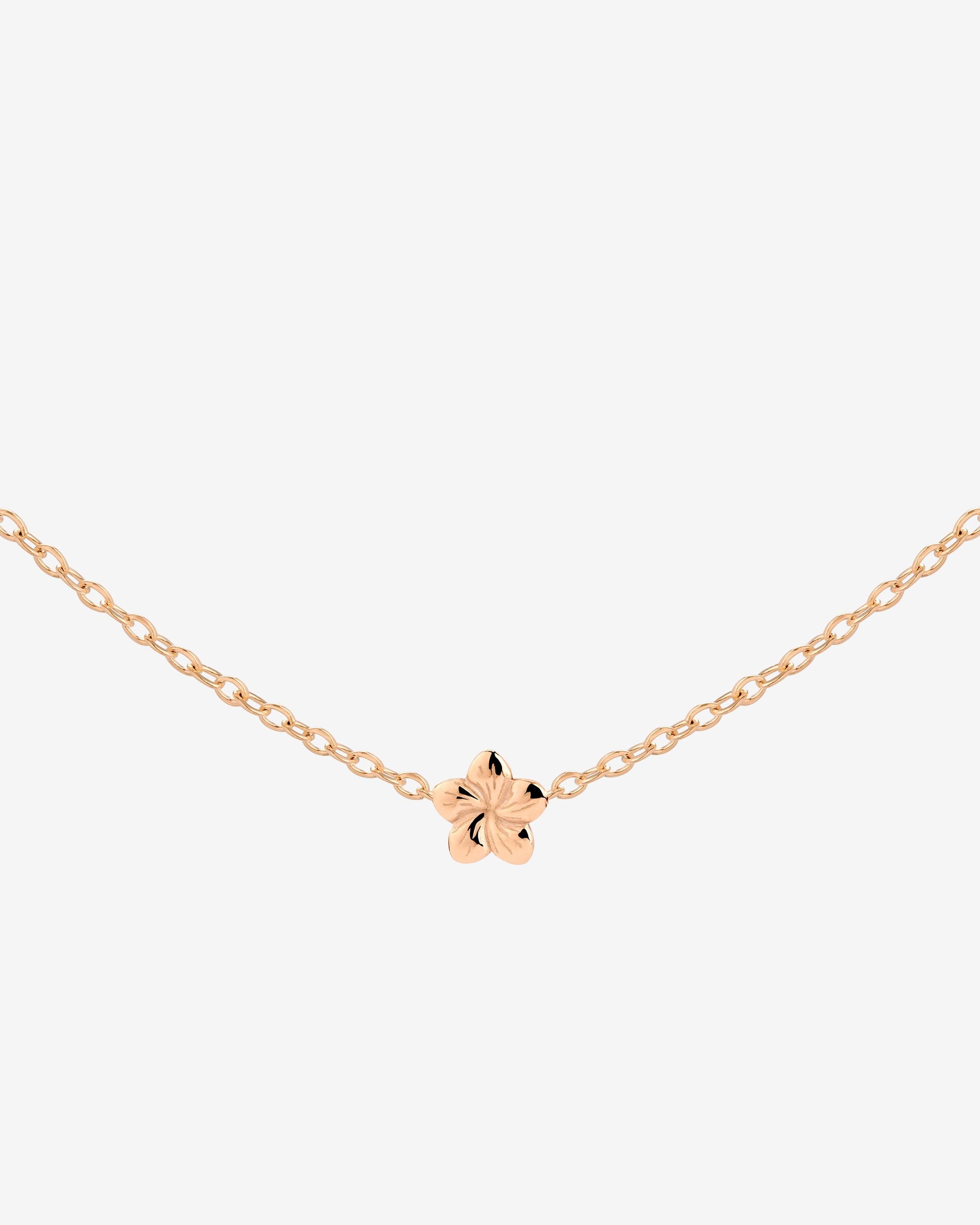 Floral Glow Choker Oro Rosa