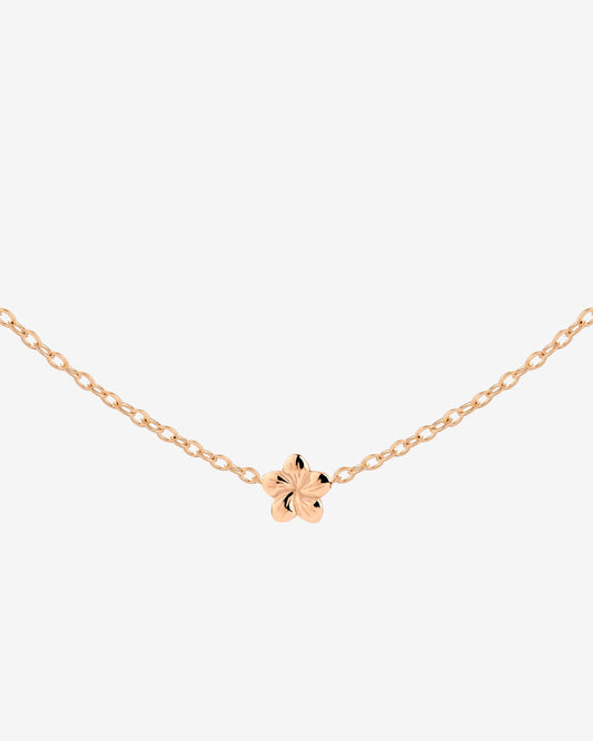 Floral Glow Choker Oro Rosa