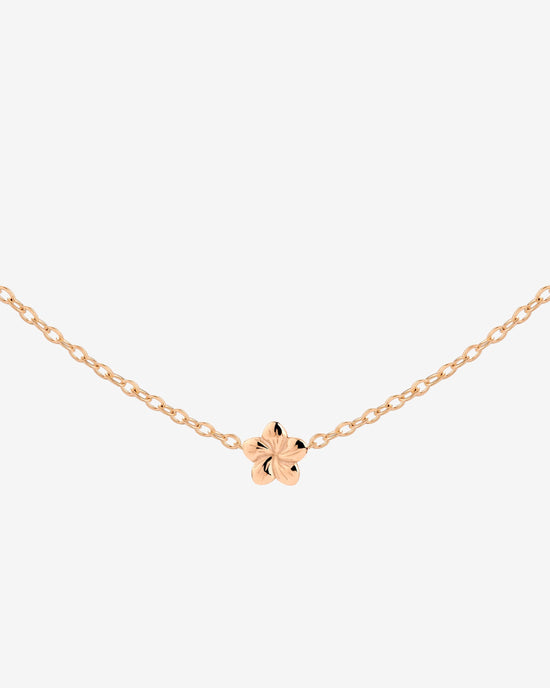 Floral Glow Choker Oro Rosa