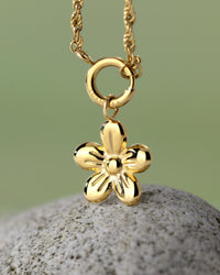 [[Colore:Oro]]