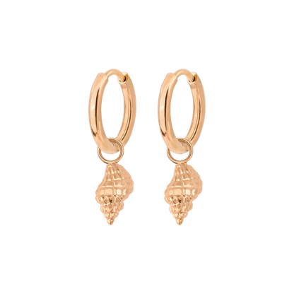 Conch Shell Hoop Set Oro Rosa