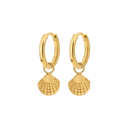 Cute Shell Hoop Set Oro