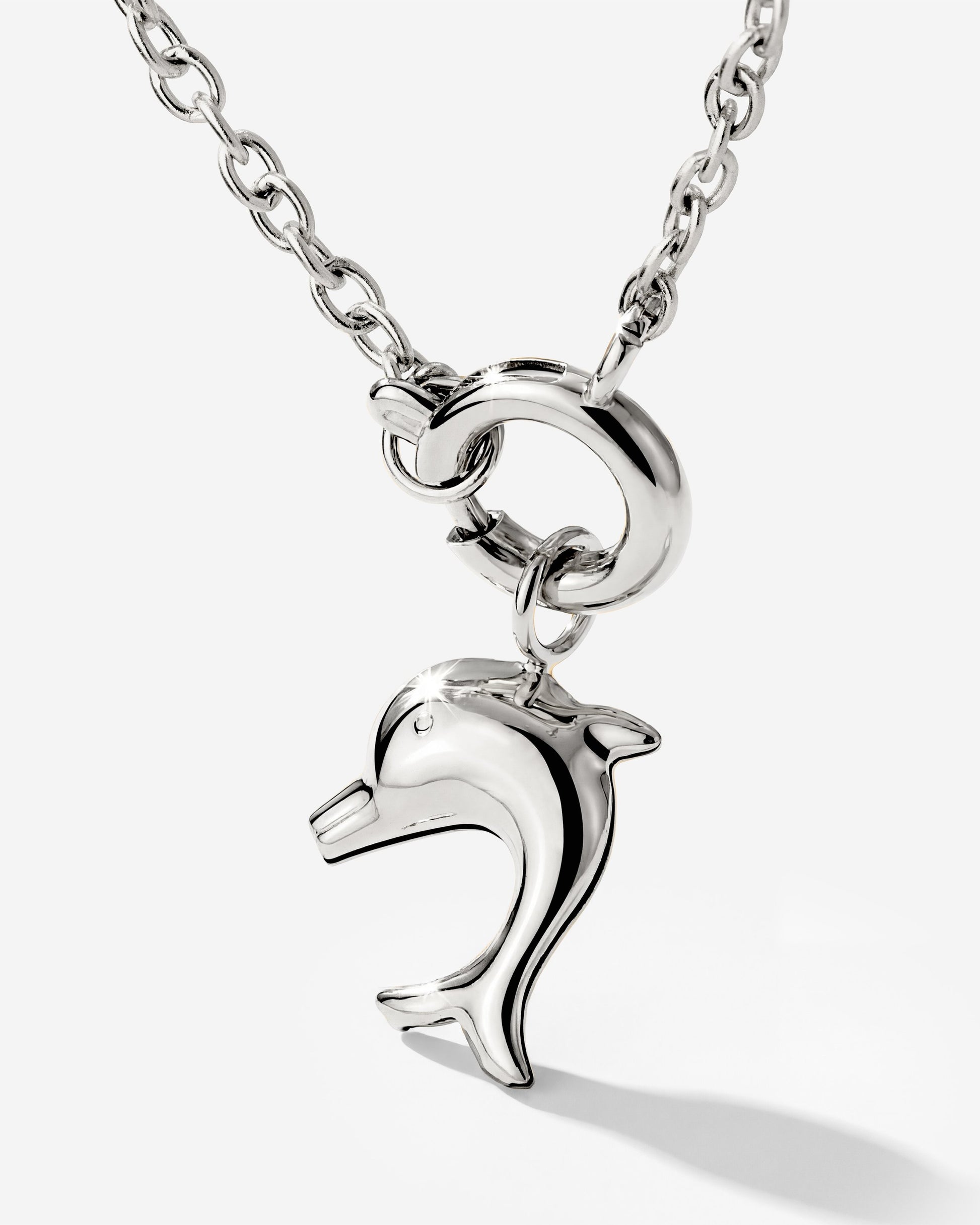 Dolphin Classic Chain Necklace Set Argento