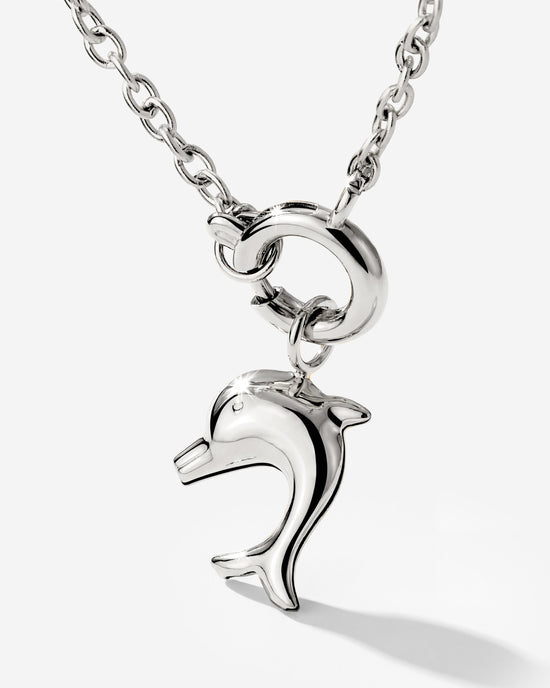 Dolphin Classic Chain Necklace Set Argento