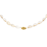 One in a Shell Choker Oro
