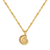 Shell Seeker Collana Oro