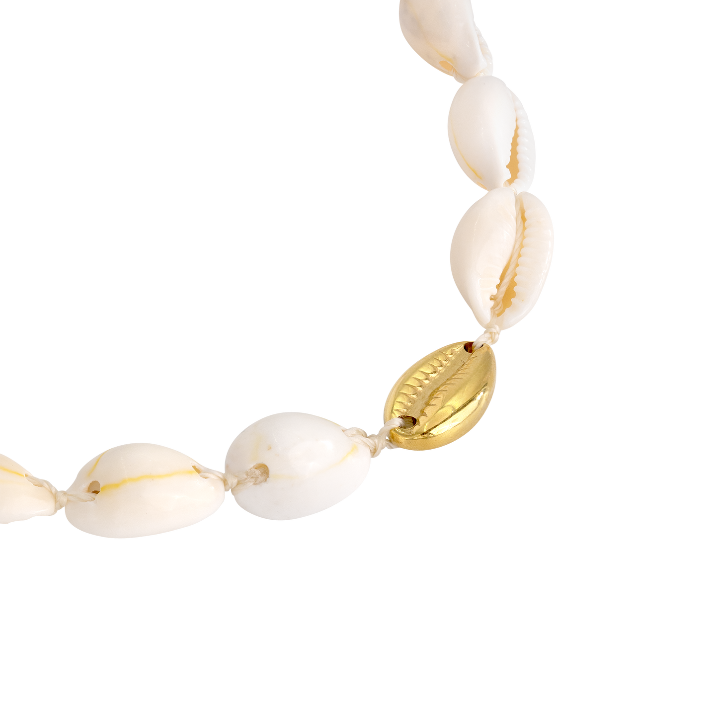 One in a Shell Choker Oro