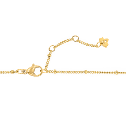 Shell Seeker Collana Oro