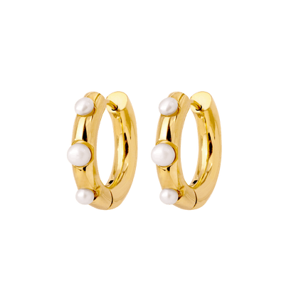 Timeless Chic Hoopies Oro