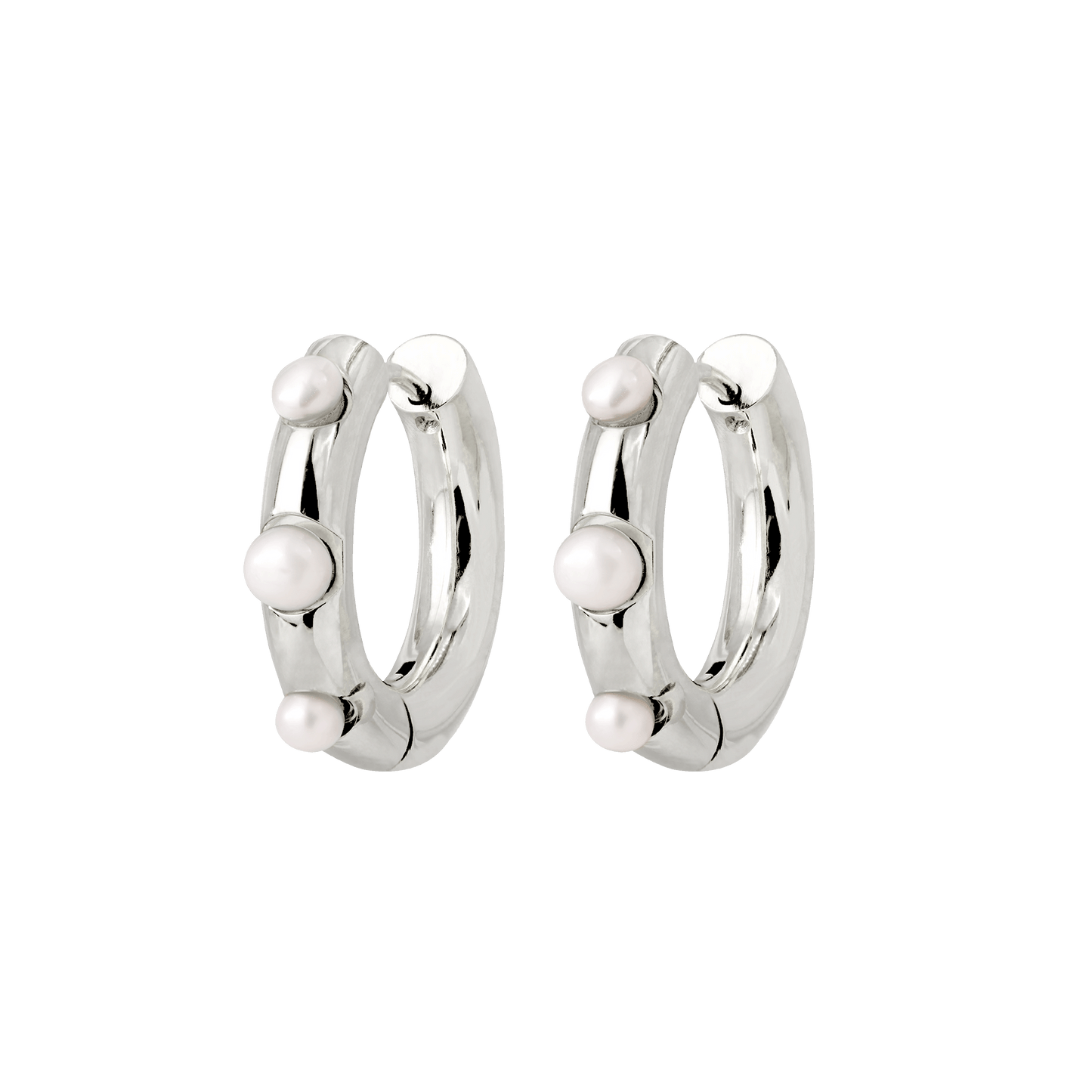 Timeless Chic Hoopies Argento