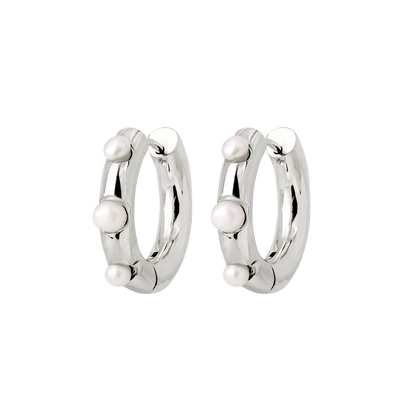 Timeless Chic Hoopies Argento
