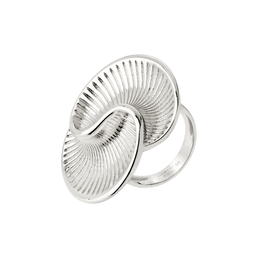 Winding Spiral Anello Argento