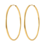Extra Maxi Hoops Oro
