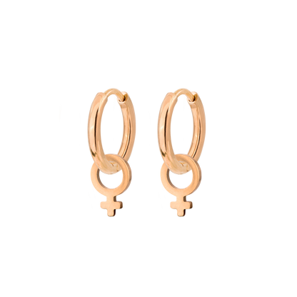Female Icon Hoop Set Small Oro Rosa