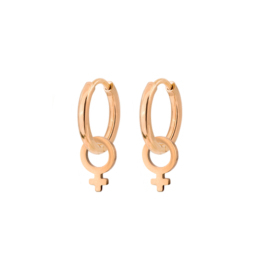 Female Icon Hoop Set Small Oro Rosa