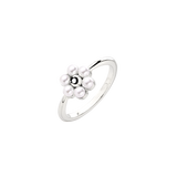 Daisy Anello Argento