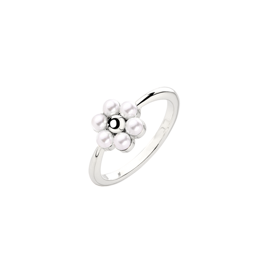 Daisy Anello Argento
