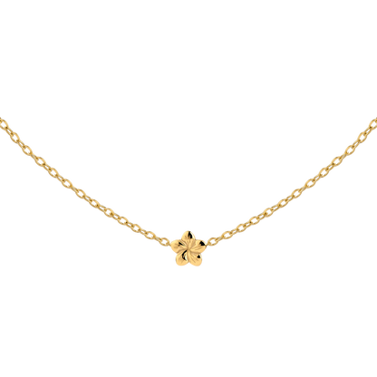 Floral Glow Choker Oro