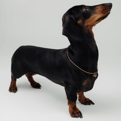 Shorty Rope Chain Necklace Set Roségold