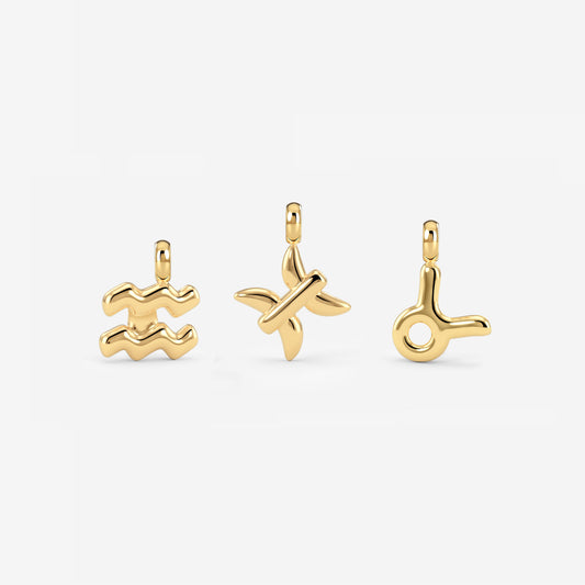 Bubble Zodiac Collana Charms