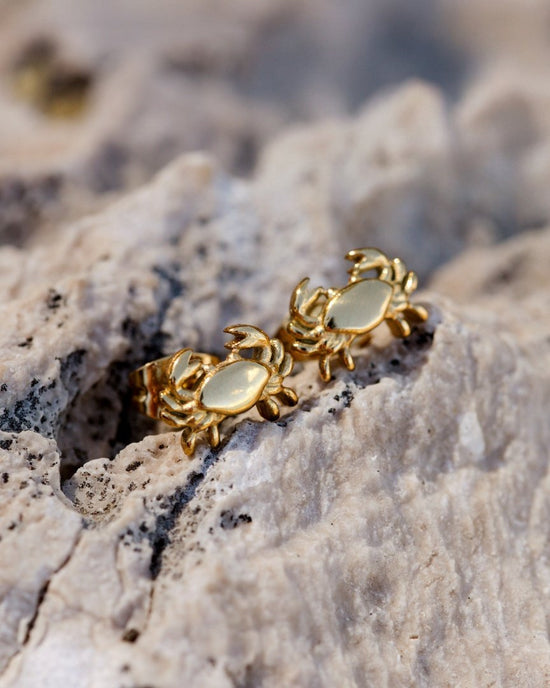 Crab Chaser Orecchini Argento