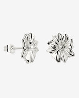 Pure Petal Orecchini Argento