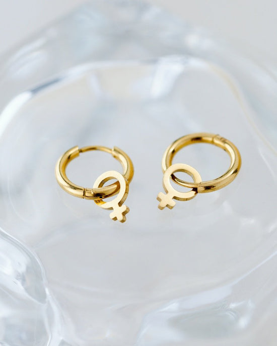 Female Icon Hoop Set Small Oro Rosa