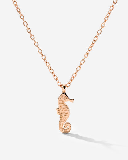 Seahorse Collana
