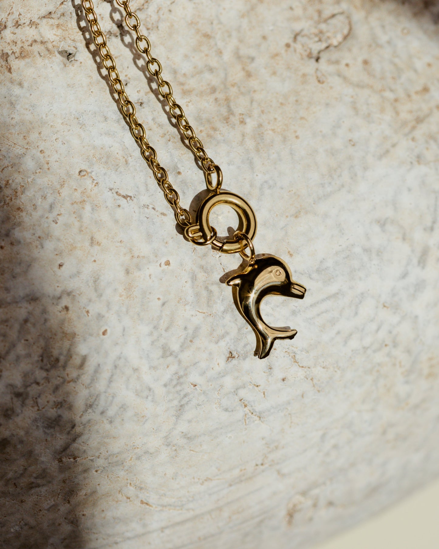 Dolphin Classic Chain Necklace Set Argento