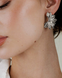[[Colore:Argento,Tragebild]]